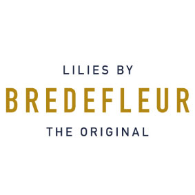 Bredefleur